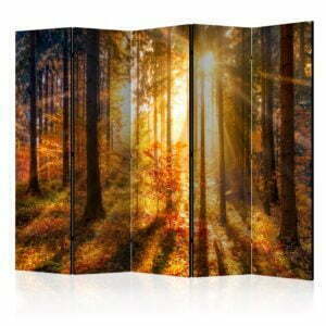 5-teiliges Paravent - Autumn Awakening II [Room Dividers]