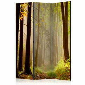 3-teiliges Paravent - Mysterious forest path [Room Dividers]