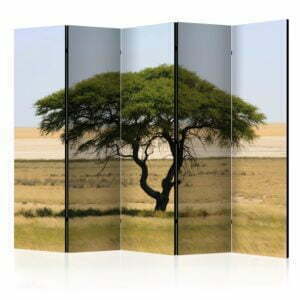 5-teiliges Paravent - Etosha National Park, Namibia II [Room Dividers]