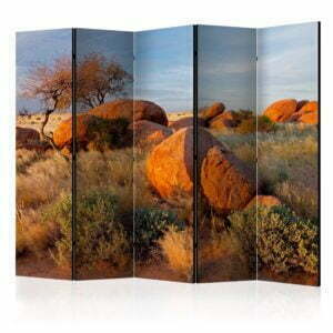 5-teiliges Paravent - African landscape, Namibia II [Room Dividers]