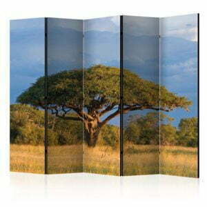 5-teiliges Paravent - African acacia tree, Hwange National Park, Zimbabwe II [Room Dividers]