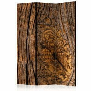 3-teiliges Paravent - Old Tree [Room Dividers]