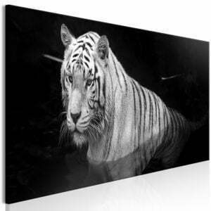 Wandbild - Shining Tiger (1 Part) Black and White Narrow