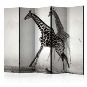 5-teiliges Paravent - Giraffes II [Room Dividers]