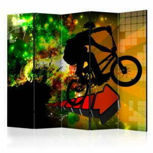 5-teiliges Paravent - Bicycle Tricks II [Room Dividers]