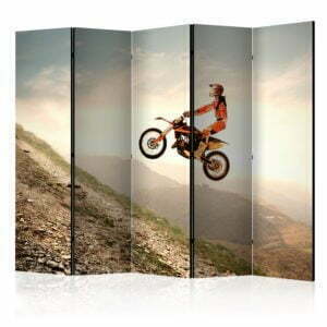 5-teiliges Paravent - Motor sport II [Room Dividers]