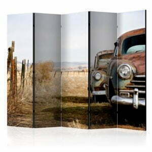 5-teiliges Paravent - Two old, American cars II [Room Dividers]